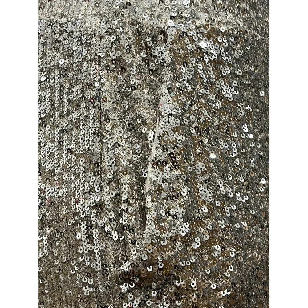 NWT Cable & Gauge‎ Silver/Gold Sequined Lined Party Pants XL.